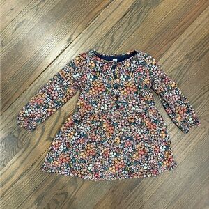 Tea Collection Floral Dress size 18-24mo (family matching)